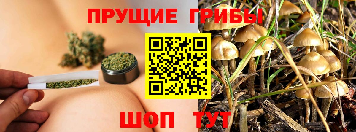 Галлюциногенные грибы мицелий Тобольск